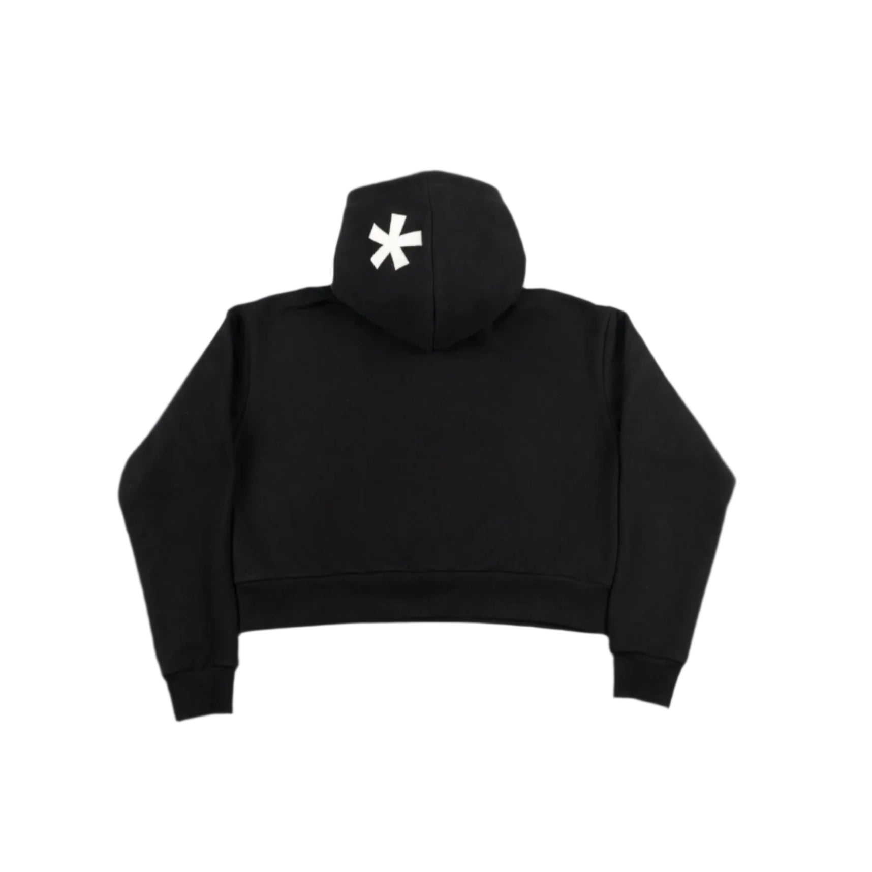 Cohort Hoodie